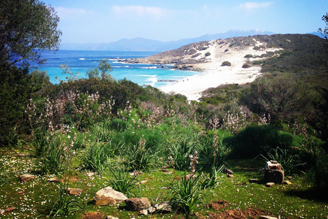 4x4 Agriates Desert and Beach Excursion from Calvi