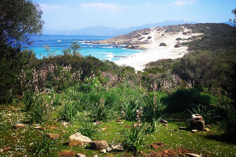 4x4 Agriates Desert and Beach Excursion from Calvi