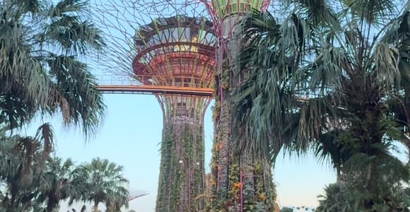 Gardens by the Bay Water Kidneys and Energy Brain