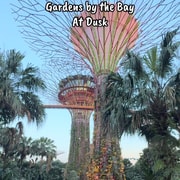 Gardens by the Bay Water Kidneys and Energy Brain Gardens by the Bay Water Kidneys and Energy Brain