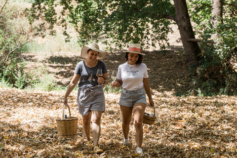 Picnic Wine Tasting by the River in Nemea region