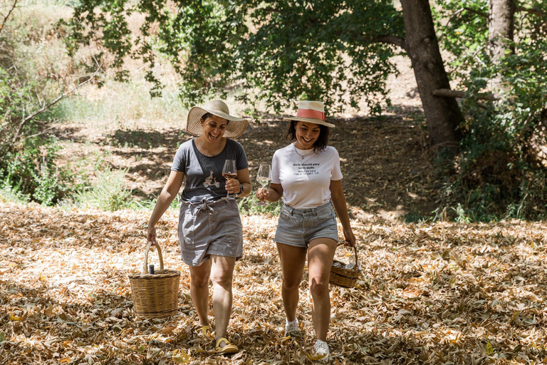 Picnic Wine Tasting by the River in Nemea region