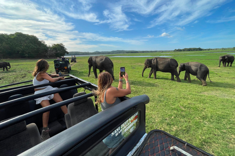 Sigiriya: Minneriya National Park Elephant Eco Jeep Safari From Sigiriya: Minneriya National Park Eco Jeep Safari