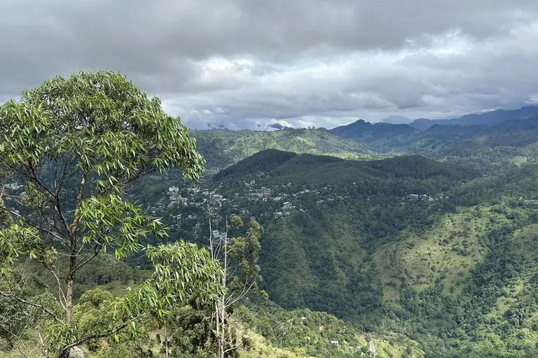 Pekoe Trail 10-16: 8-Day Guide Trail with Hotels & Transfers