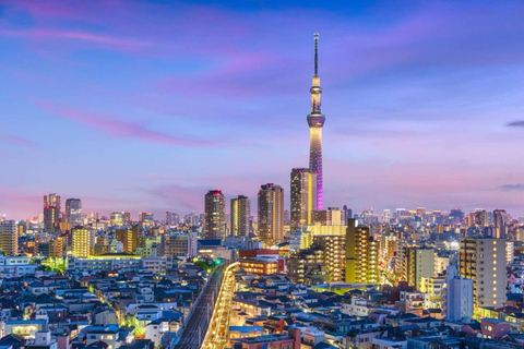 From Tokyo: Tokyo Full Day Private Sightseeing City Tour ITINERARY B:Tokyo Private Customized Tour With English Guide