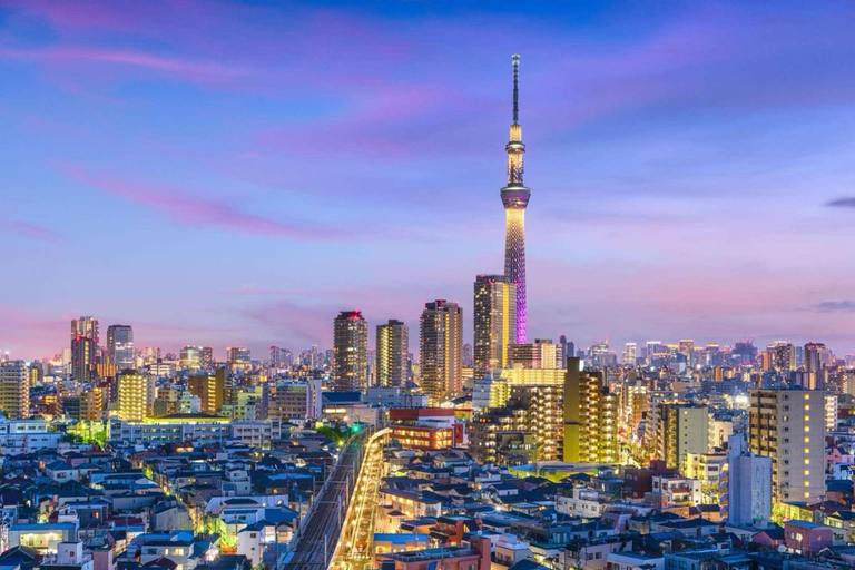 From Tokyo: Tokyo Full Day Private Sightseeing City Tour ITINERARY B:Tokyo Private Customized Tour With English Guide