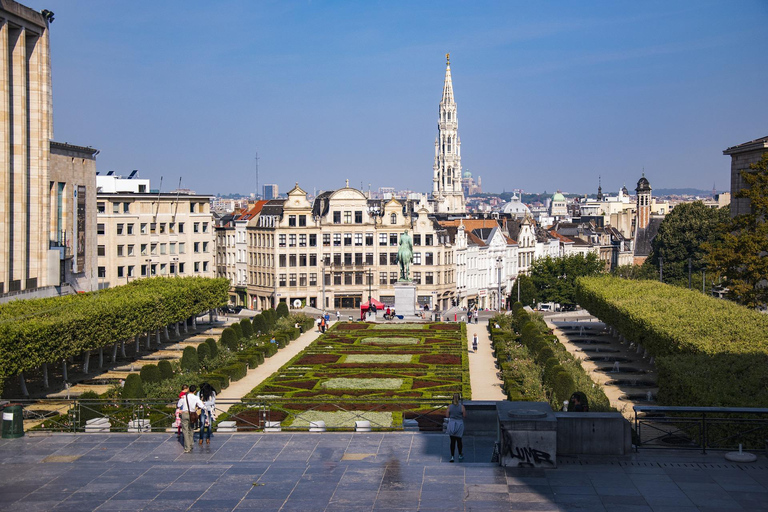 Bruselas: Tour privado de medio día con guía local