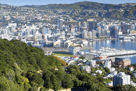 Wellington: Hoogtepunten Tour met een lokale gids