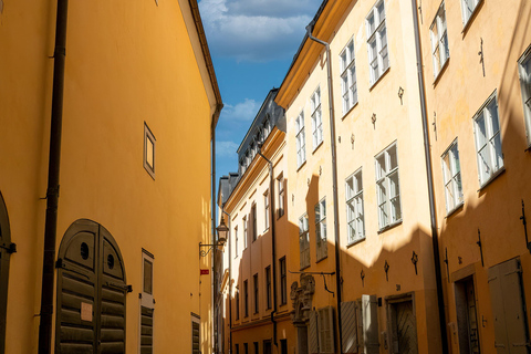 From Copenhagen: Malmö & Lund History & Culture Day Trip Seden 8hours