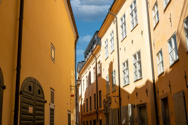 From Copenhagen: Malmö & Lund History & Culture Day Trip Seden 8hours