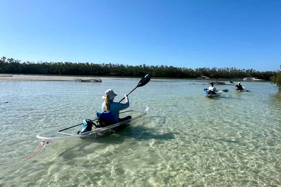 Sarasota: Siesta Key Kajaktour mit Guide. Foto: GetYourGuide