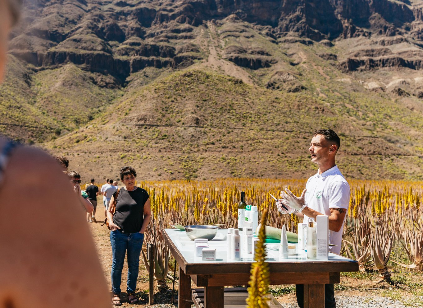 Sydlige Gran Canaria: Offroad-tur i dale og landsbyer med jeep