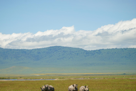 Ngorongoro Crater Safari & Maasai Village Experience