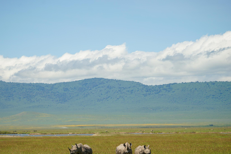 Ngorongoro Crater Safari & Maasai Village Experience