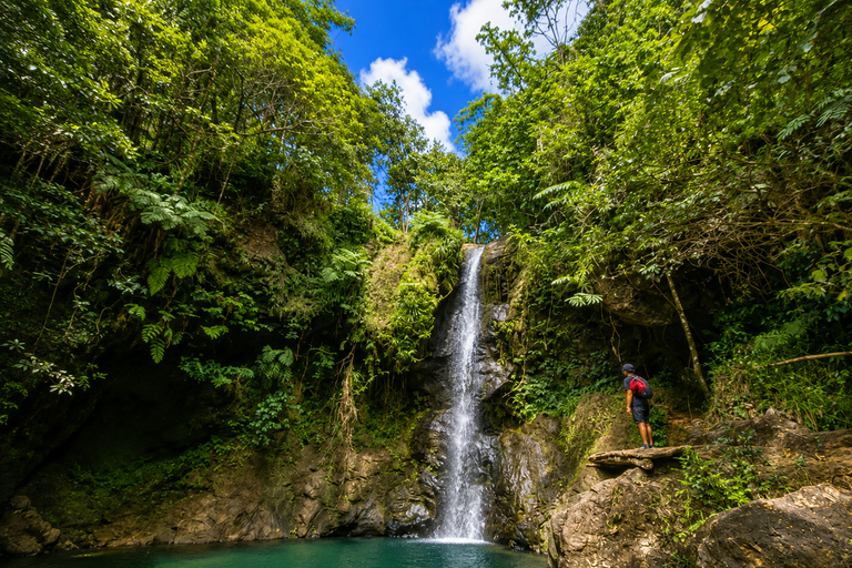 Labuan Bajo: Flores Waterfall, Village & Sunset Tour