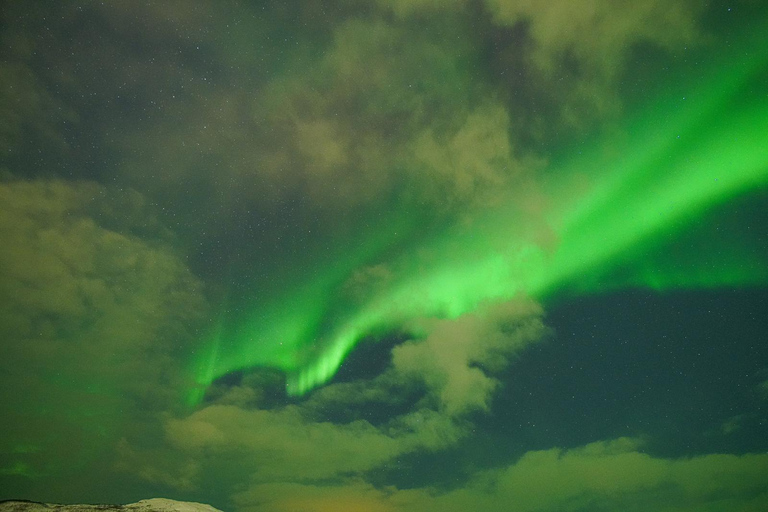 Chase the Magic of the Northern Lights in Tromsø Norway