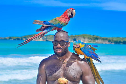 Punta Cana: Paardrijtour met bezoek aan het strand