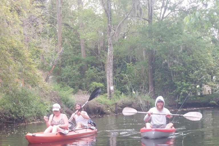 Jacksonville FL: Avventura in kayak sul fiume OrtegaNoleggio di 1 ora di kayak in tandem