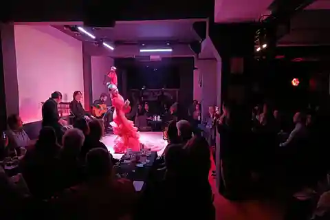 Mexico : spectacle de flamenco et dîner