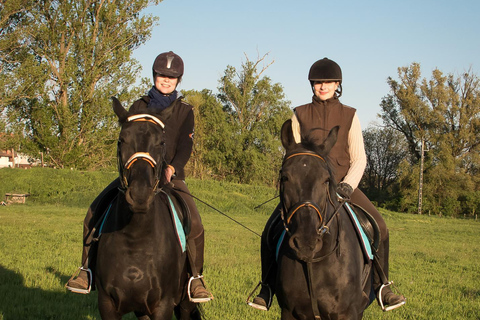 From Cannes: Private Horseback Ride with Mountain Views Private Horseback Ride with Mountain Views (With Pickup)