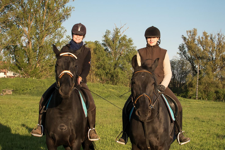 From Cannes: Private Horseback Ride with Mountain Views Private Horseback Ride with Mountain Views (With Pickup)
