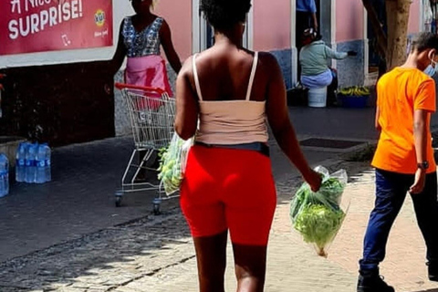 From Praia: Santiago Highlights Private Sightseeing Day Trip