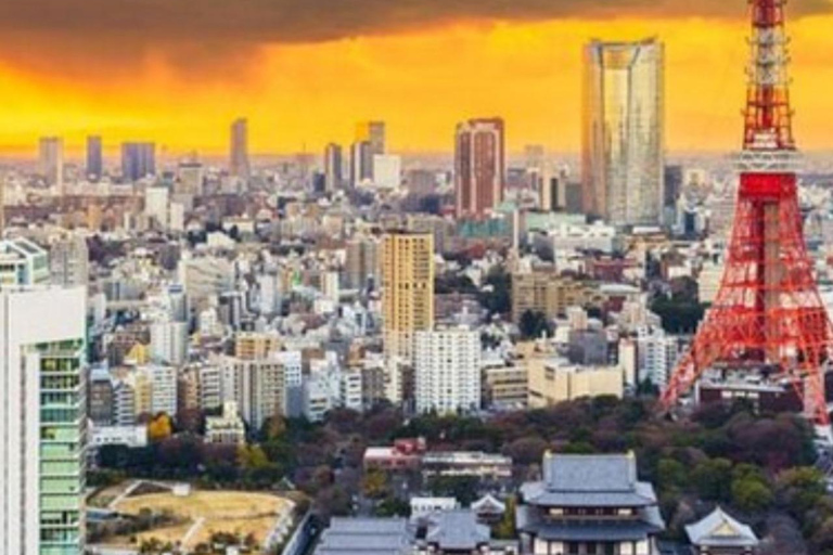 Tour privado de la ciudad de Tokio personalizado con conductor de habla inglesa