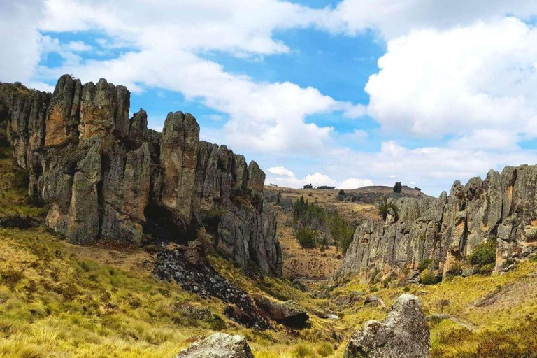 Cumbemayo Marvels: Den Steinwald enträtseln