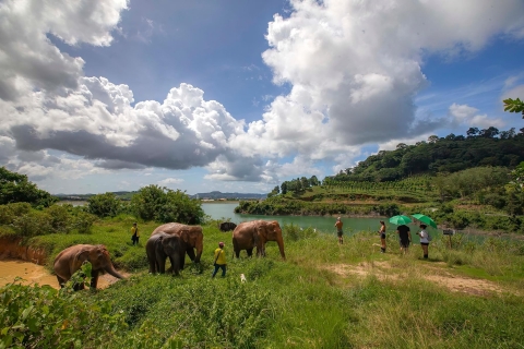 Phuket: Geführte Tour zum Elefantenschutzgebiet mit Hoteltransfers
