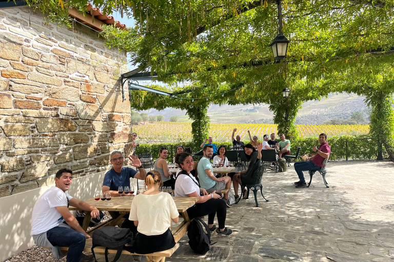 From Porto: 2 Boutique Wineries w/ Winery Lunch & 1-h cruise Tour in English