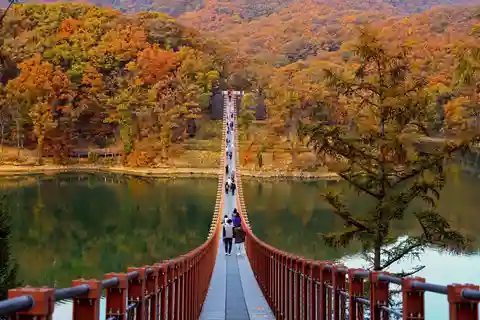 Seul: Excursão à DMZ com ponte suspensa e gôndola opcionais