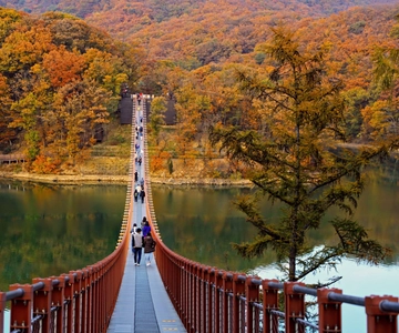 Seul: Excursão à DMZ com ponte suspensa e gôndola opcionais