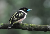 Yanayacu River 6-day Trip - Housity