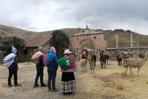 Arequipa: 2-Day Colca Canyon Tour to Puno with Homestay