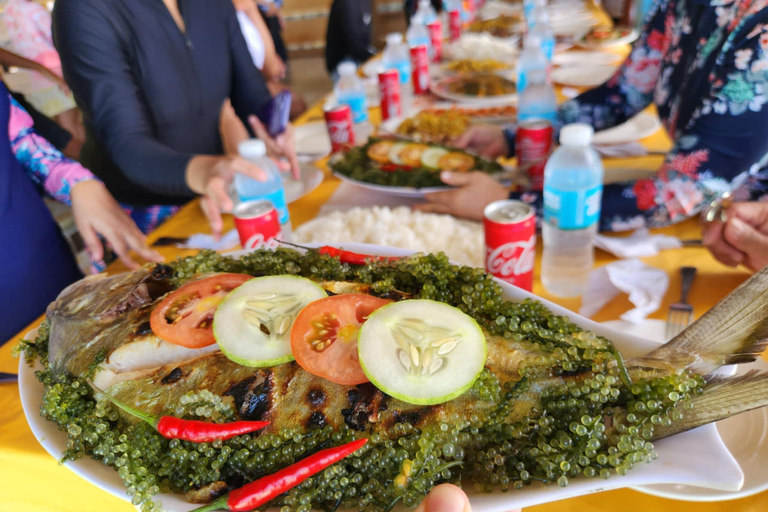 Coron: Dugong Watching Tour with Snorkeling