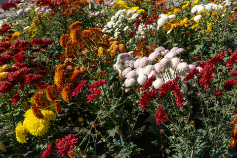 Garden & Botanical Sightseeing of Kathmandu Valley Guide Only