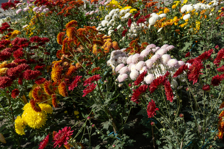 Garden & Botanical Sightseeing of Kathmandu Valley Guide Only