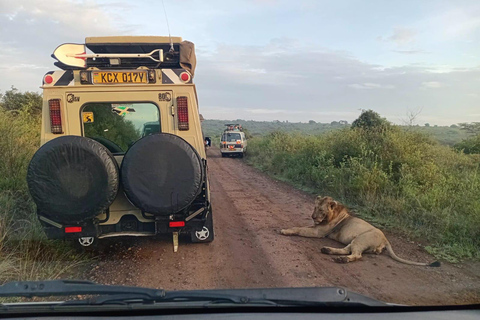 Nairobi National Park Predator Tracking Safari Tour