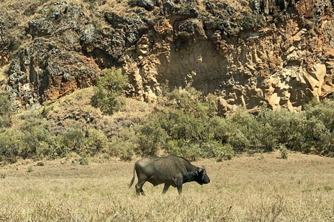 From Nairobi: Hell's Gate E-Bike/Quad Bike Tour & Boat Ride From Nairobi: Hell's Gate E-Bike & Crescent Island