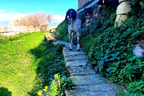 Gozo Ontsluierd: Wandeltocht met gids en boulderen