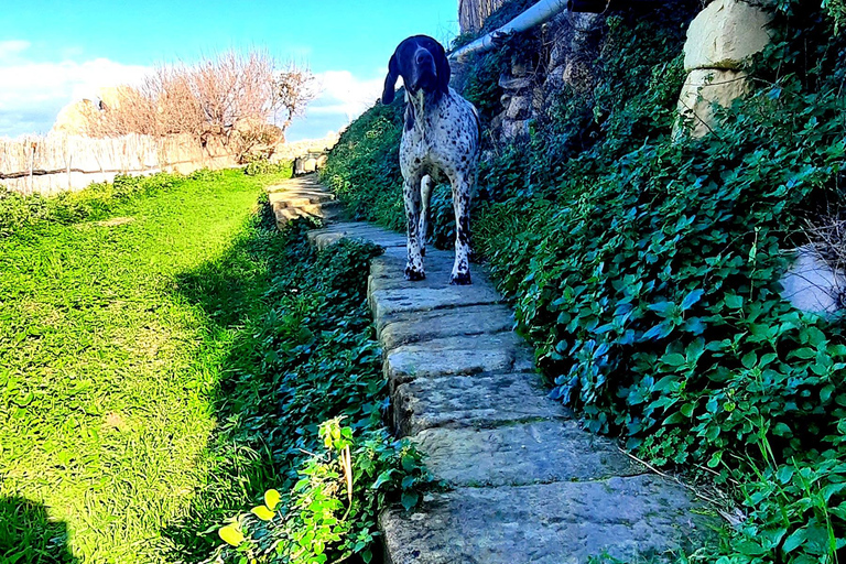 Gozo Ontsluierd: Wandeltocht met gids en boulderen