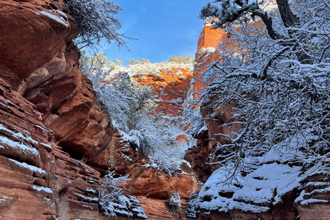 Orderville: East Zion Slot Canyons Award-Winning UTV Tour