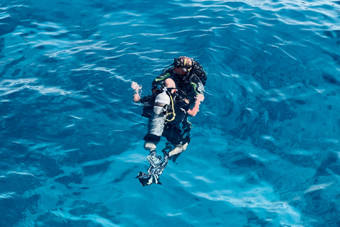Sharm: Small Group White Island & Ras Mohammed Boat Cruise Small Group White Island & Transfer, without Snorkel Gear