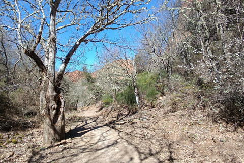 Las Médulas: Guided Tour of Roman Gold Mine