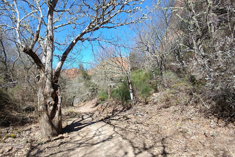 Las Médulas: Guided Tour of Roman Gold Mine
