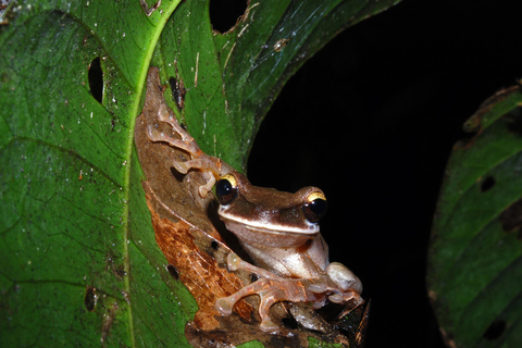 Circuit de 5 jours au parc national de Manu et à la forêt amazonienne de Cusco