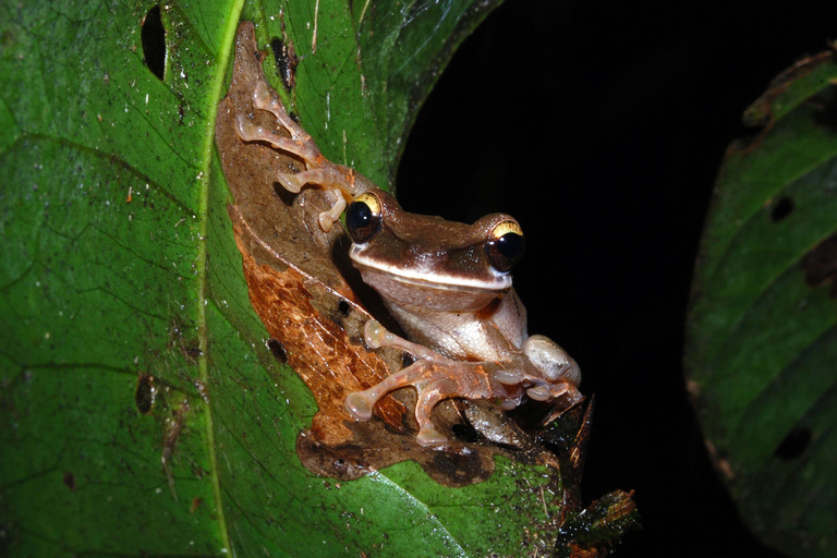 Circuit de 5 jours au parc national de Manu et à la forêt amazonienne de Cusco