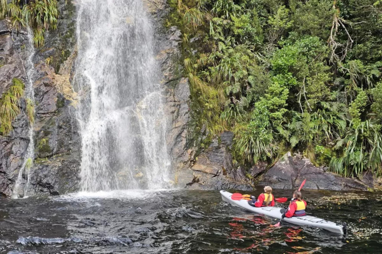 Te Anau: Lake Manapouri Kayak Tour with Water Taxi