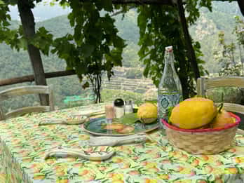 Maiori: Escursione a un limoneto con degustazione di limoni