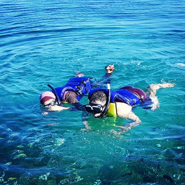 Lovina Beach: Sunrise Dolphin-Watching and Snorkeling Cruise | GetYourGuide